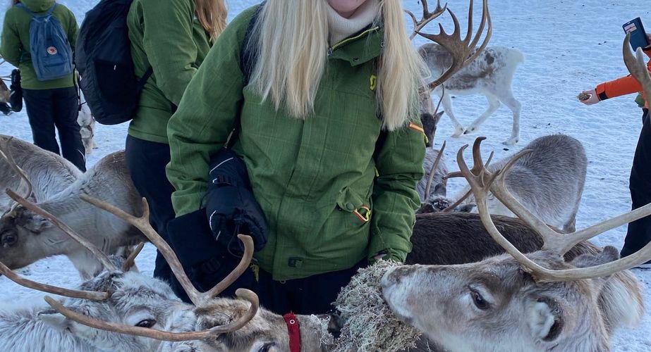 29 38 Lapland 18 29 38 Lapland 18